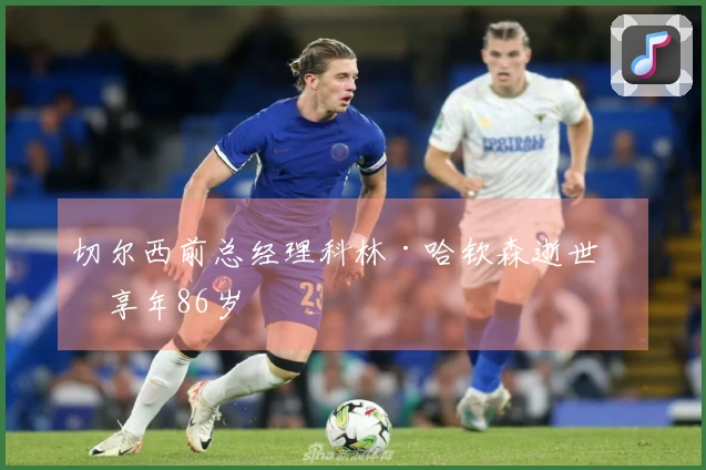 切尔西前总经理科林·哈钦森逝世，享年86岁